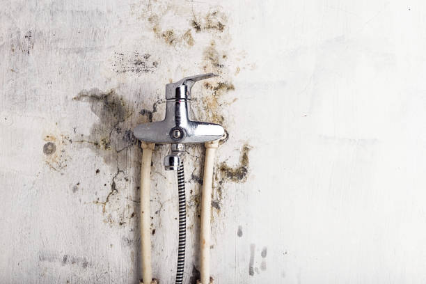 Reliable Tecumseh, OK Mold Remediation Solutions