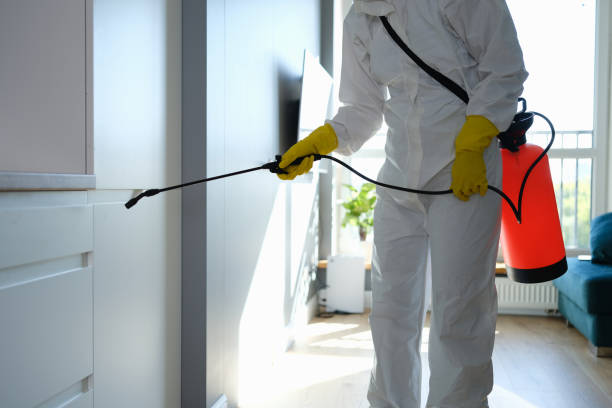 Best Commercial Mold Remediation in Tecumseh, OK